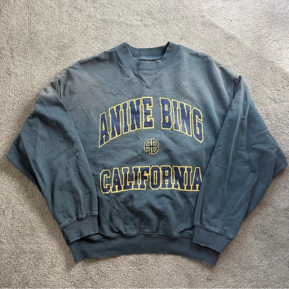 Anine Bing Jaci Sweatshirt in Washed Faded Green - Picture 3 of 6